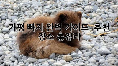 가평 빠지: 완벽 가이드 & 추천 장소 총정리